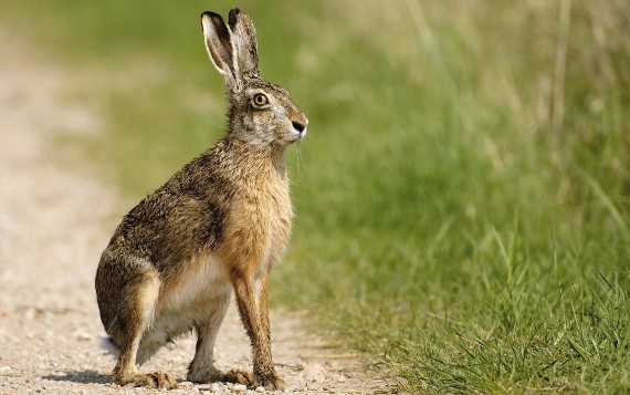 consulenza aziendale e risultati