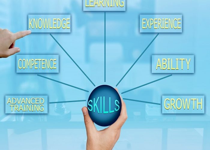 skill del project manager